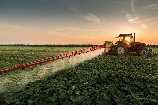 Weed Management: The Role of Herbicides in Modern Farming
